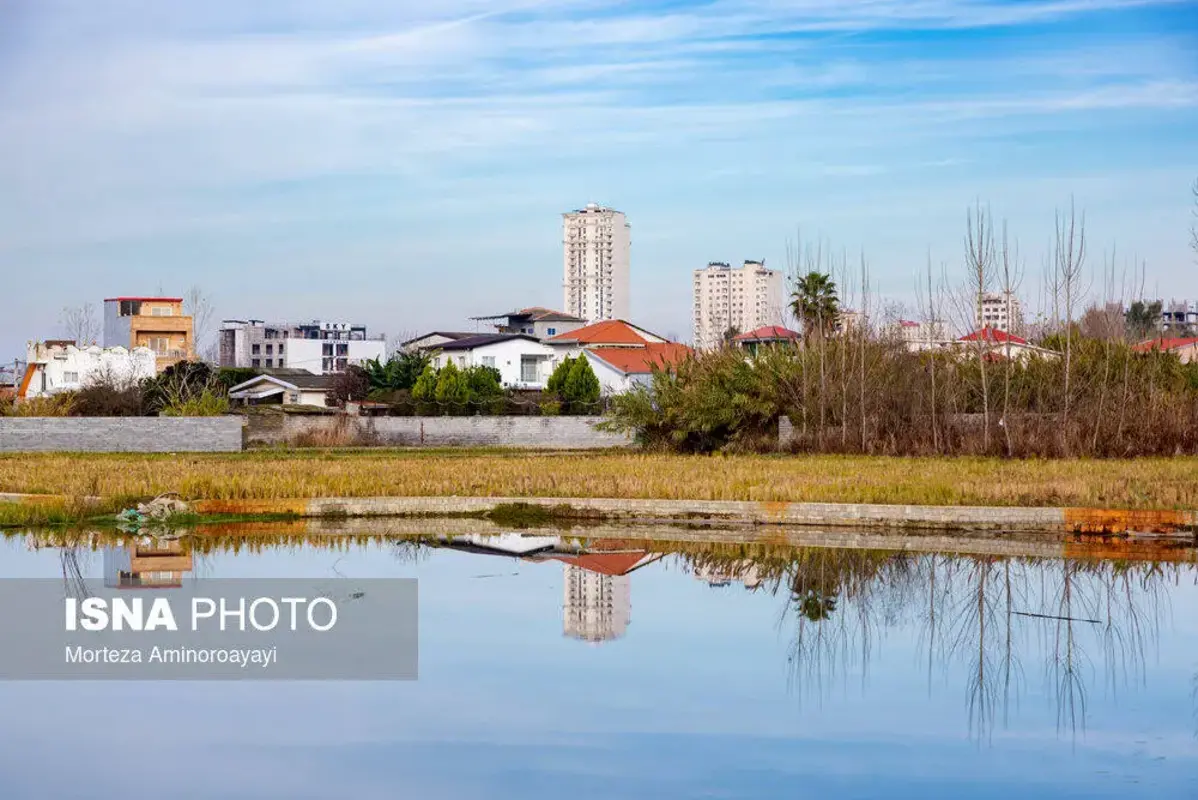 وقتی تالاب می‌میرد 