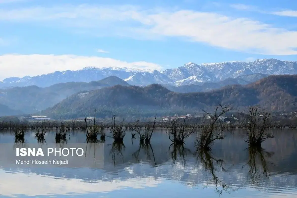 وقتی تالاب می‌میرد 