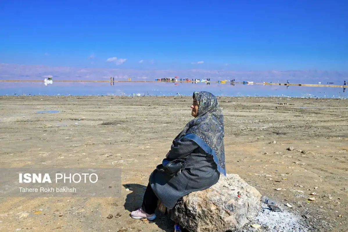 وقتی تالاب می‌میرد 