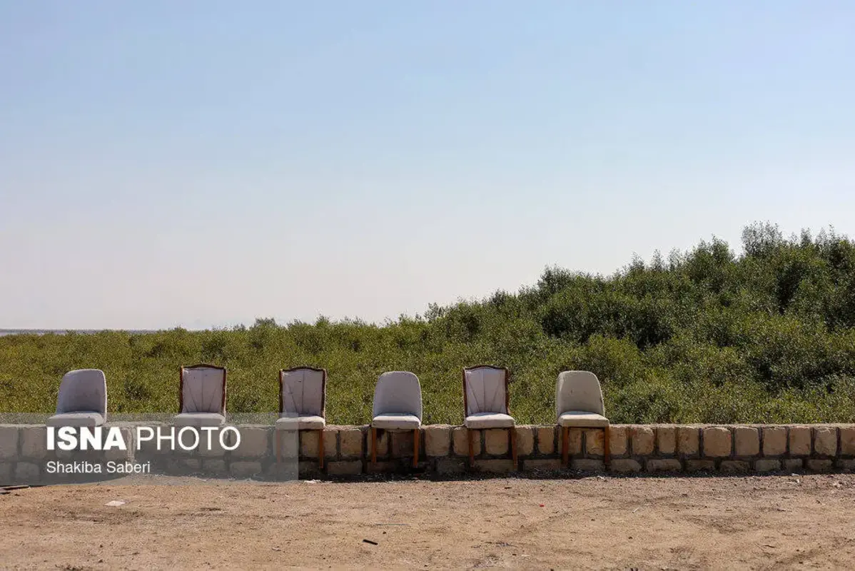 وقتی تالاب می‌میرد 