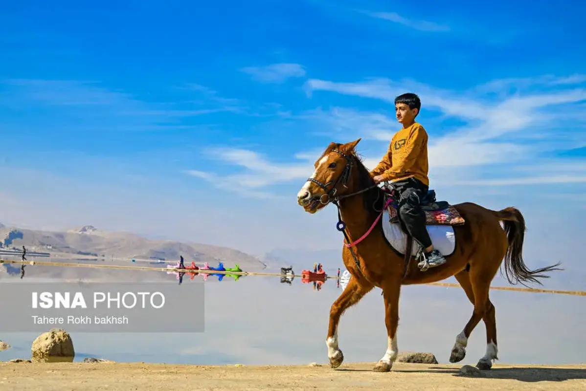 وقتی تالاب می‌میرد 