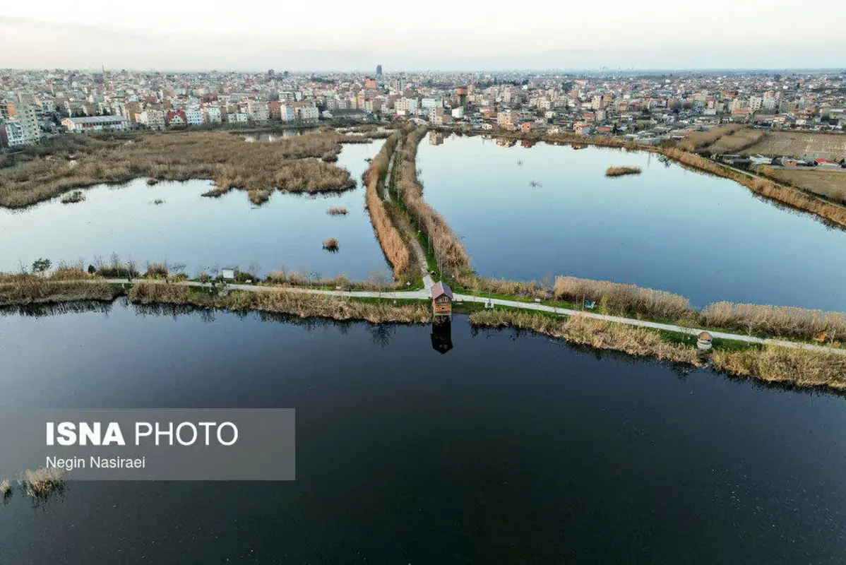 وقتی تالاب می‌میرد 