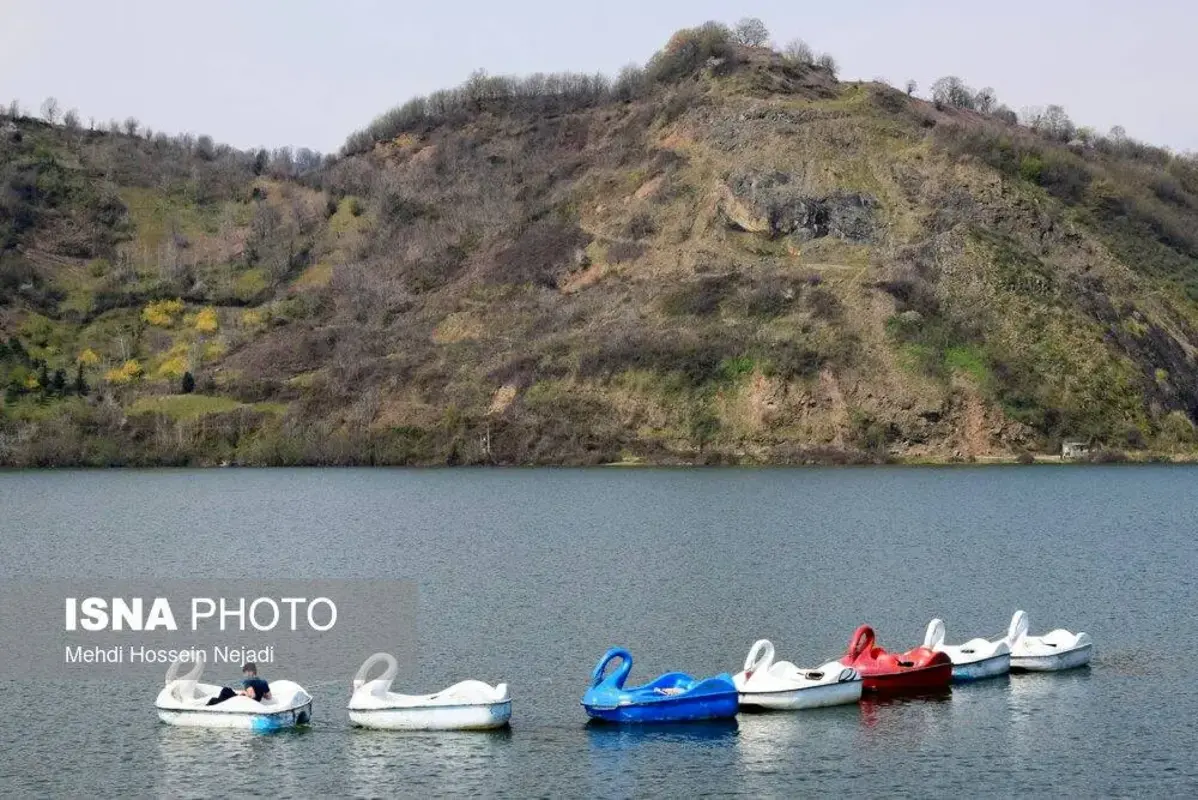 وقتی تالاب می‌میرد 