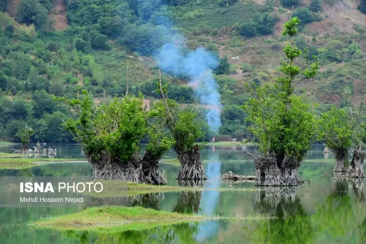 وقتی تالاب می‌میرد 