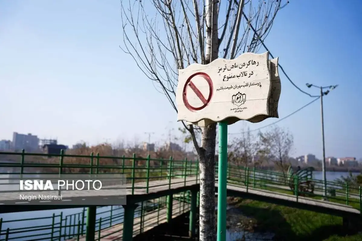 وقتی تالاب می‌میرد 