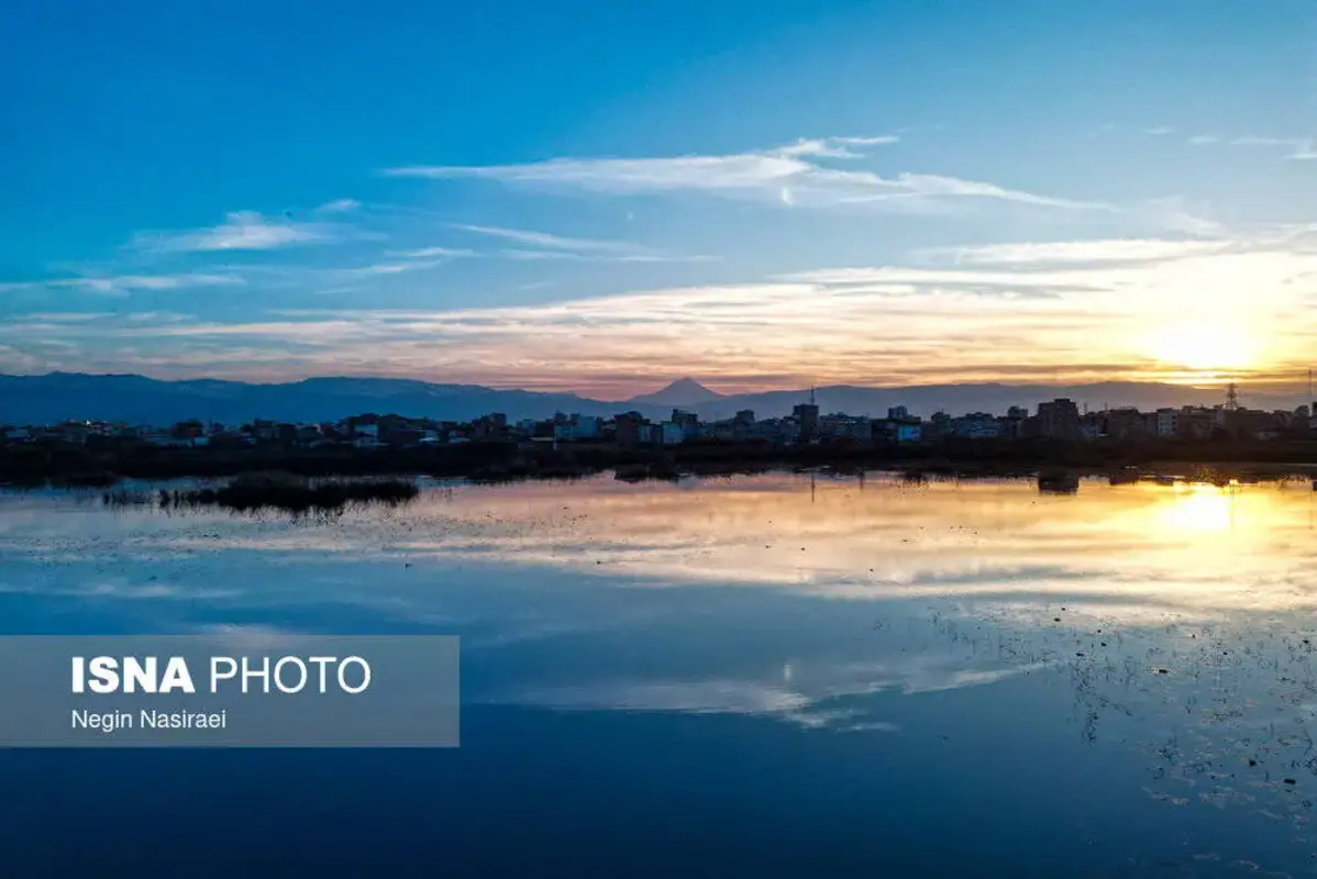 وقتی تالاب می‌میرد 