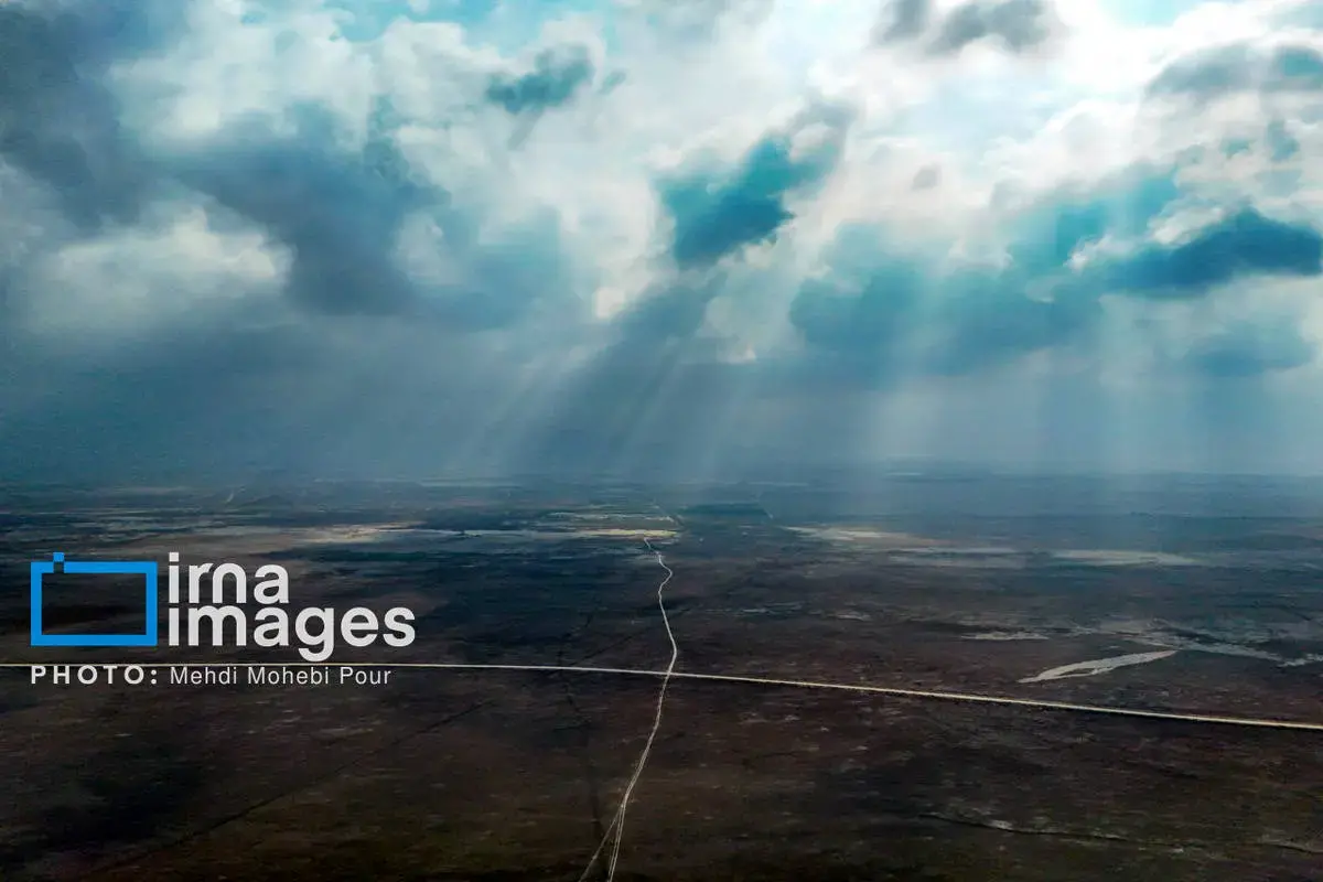  پرندگان مهاجر در آغوش میانکاله 