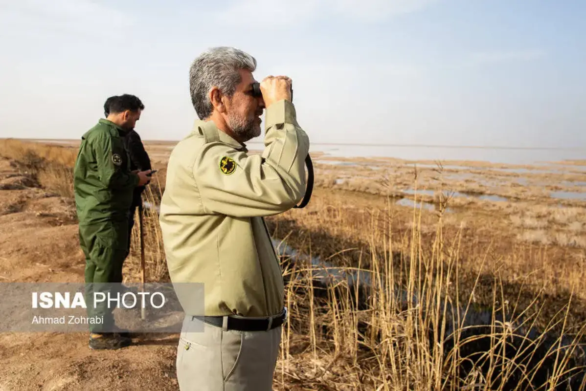 پرندگان مهاجر در تالاب مره قم