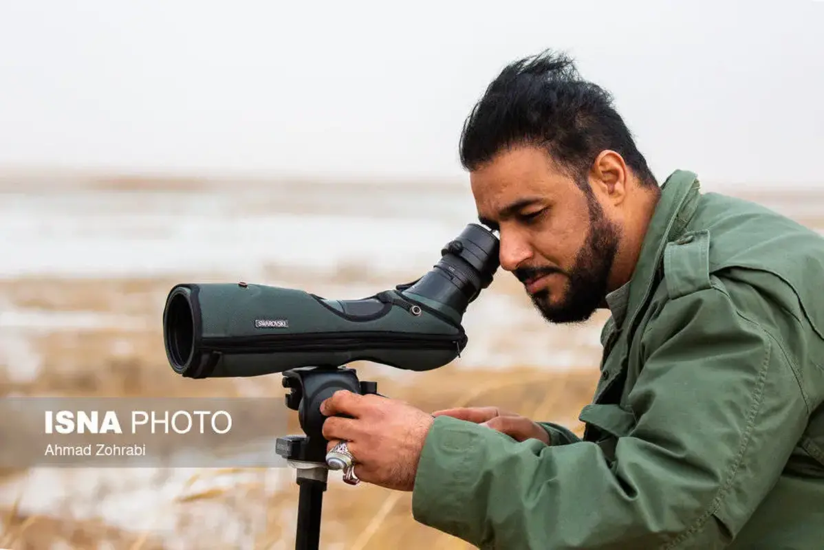 پرندگان مهاجر در تالاب مره قم