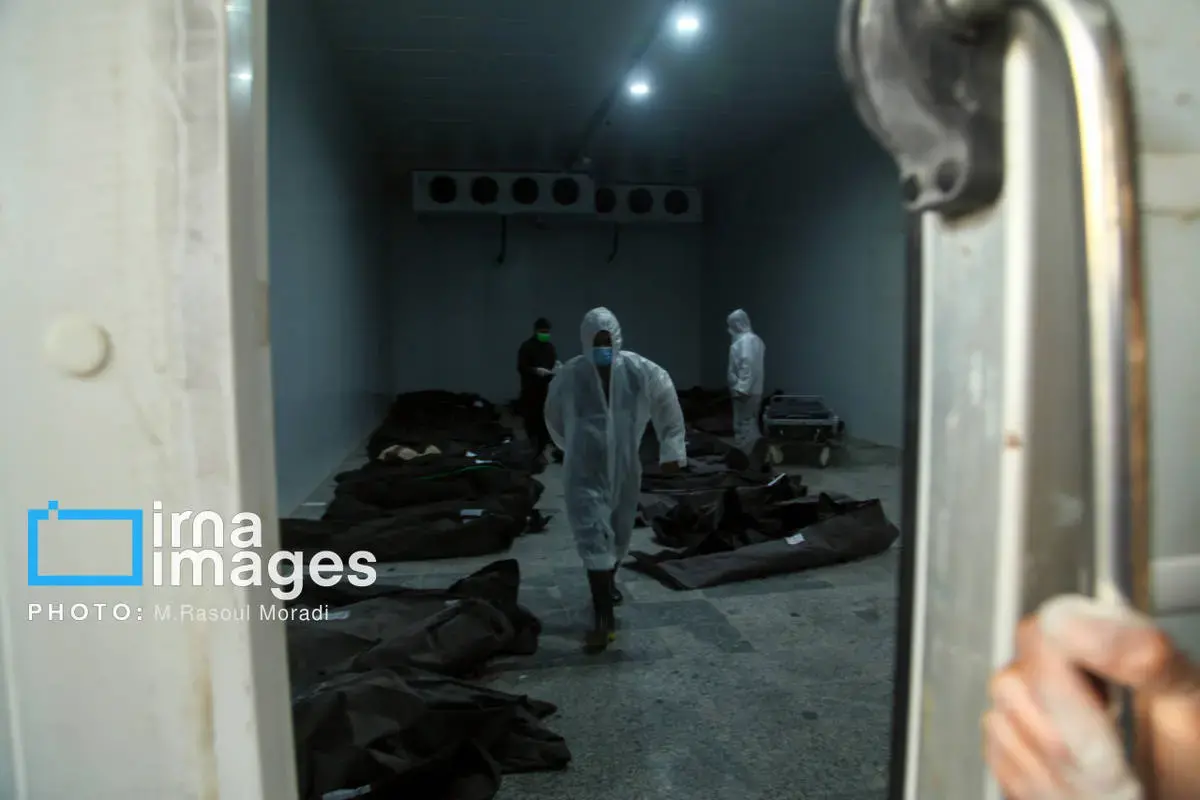 شناسایی پیکر شهدای دبستان دخترانه میناب