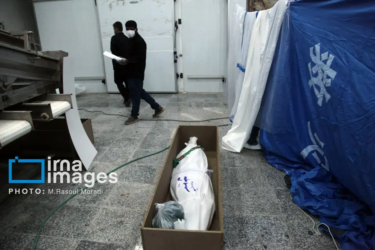 شناسایی پیکر شهدای دبستان دخترانه میناب