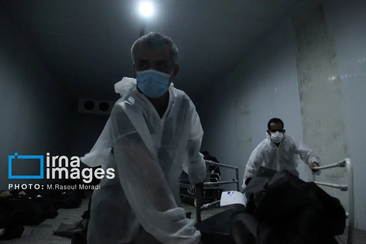 شناسایی پیکر شهدای دبستان دخترانه میناب