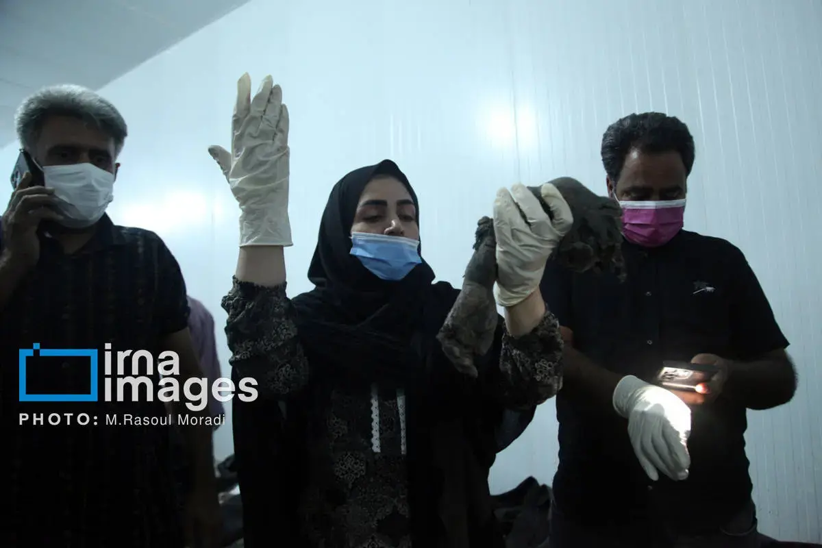 شناسایی پیکر شهدای دبستان دخترانه میناب