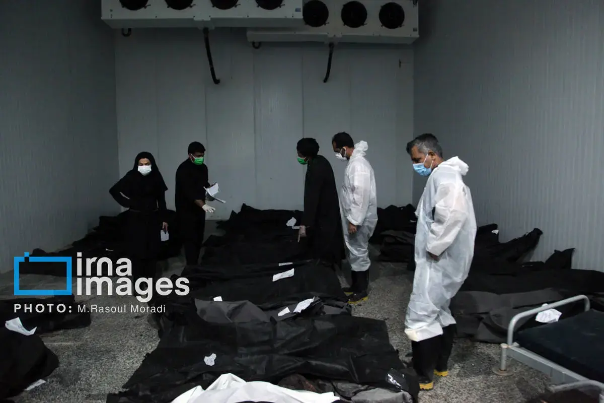 شناسایی پیکر شهدای دبستان دخترانه میناب