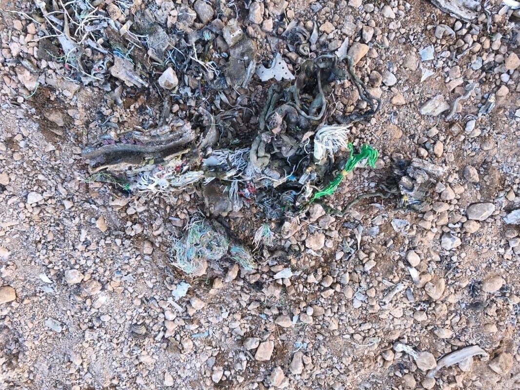 جنگنده فوق‌پیشرفته F۳۵ ساقط شده در آسمان مرکزی ایران