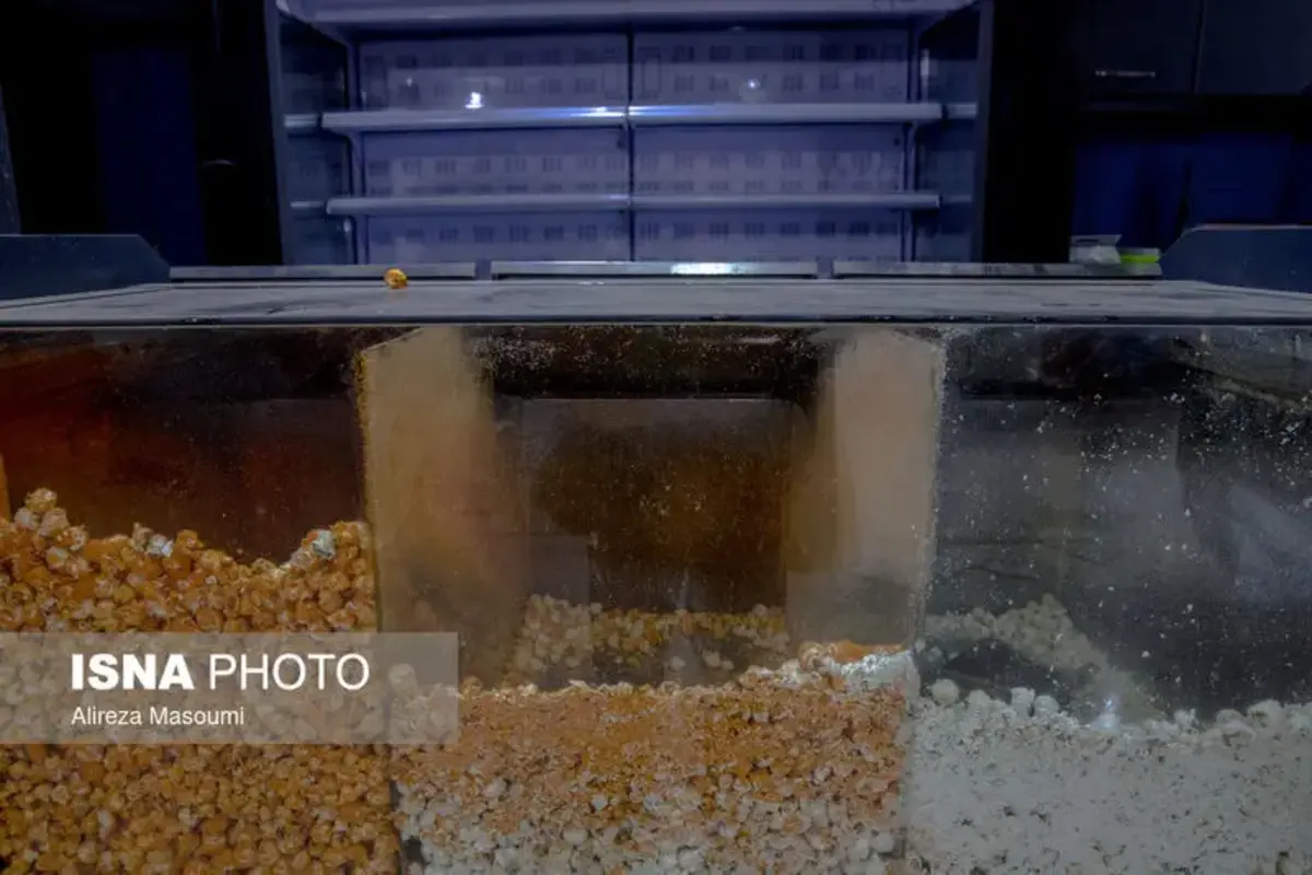  خسارات ناشی از حمله به سینما شکوفه تهران 