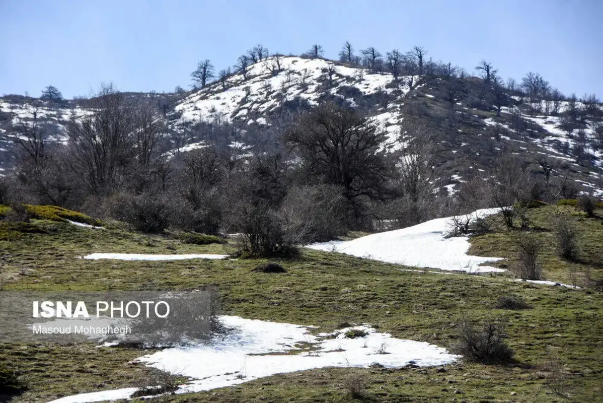 سرشماری حیات وحش جنگل‌های هیرکانی رودبارک
