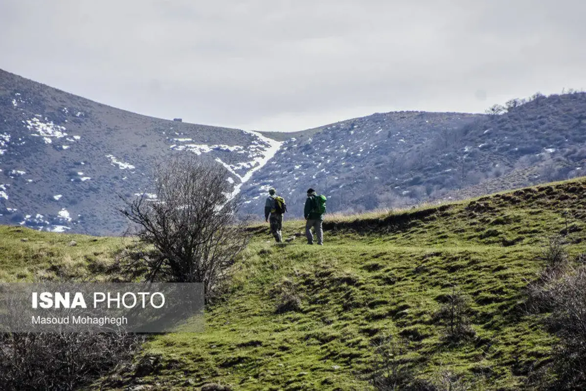 سرشماری حیات وحش جنگل‌های هیرکانی رودبارک