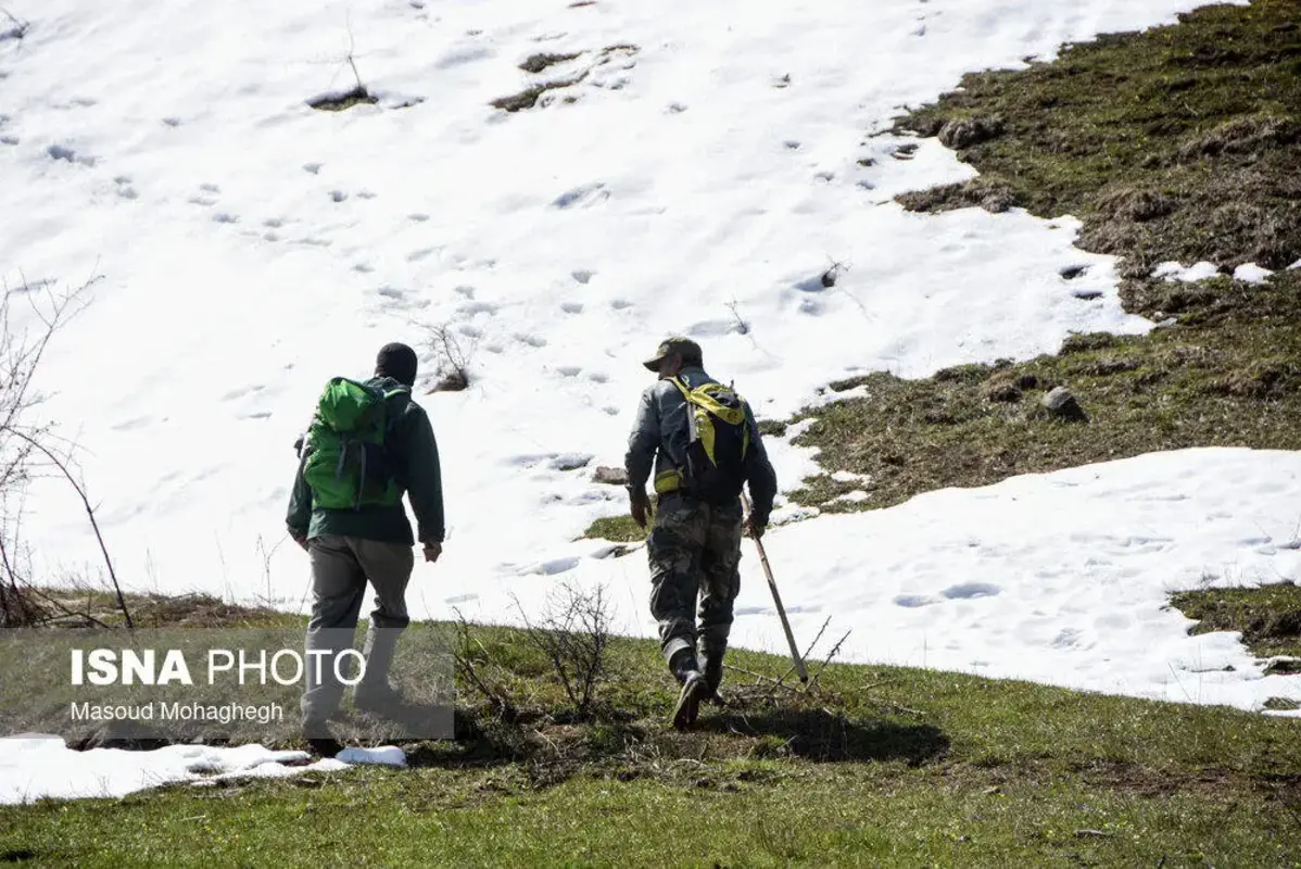 سرشماری حیات وحش جنگل‌های هیرکانی رودبارک