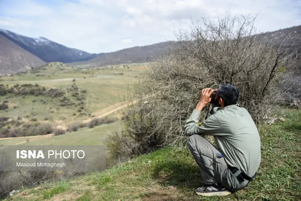سرشماری حیات وحش جنگل‌های هیرکانی رودبارک