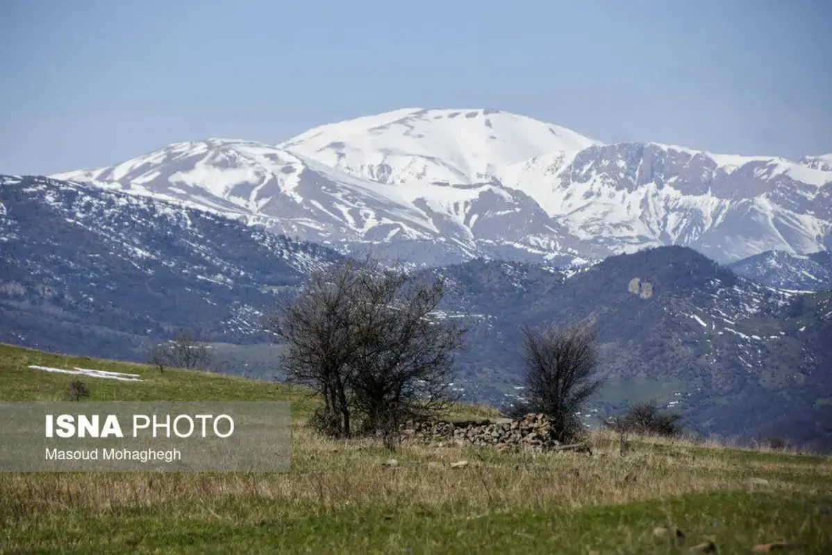 سرشماری حیات وحش جنگل‌های هیرکانی رودبارک