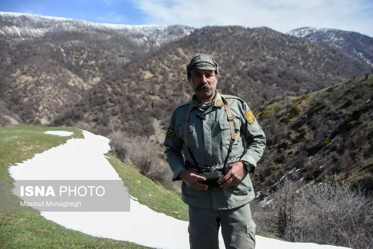 سرشماری حیات وحش جنگل‌های هیرکانی رودبارک