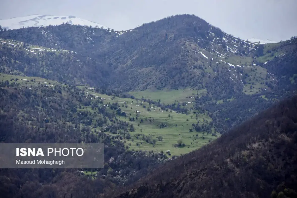 سرشماری حیات وحش جنگل‌های هیرکانی رودبارک