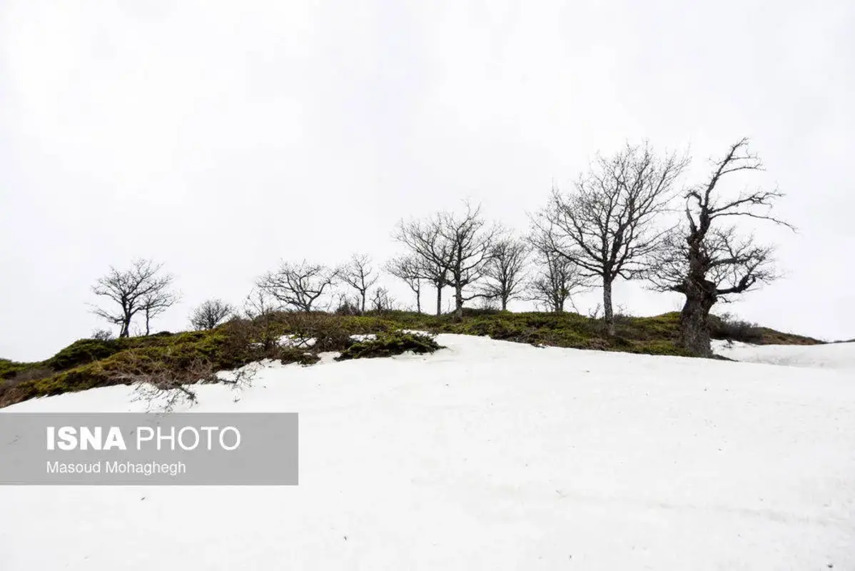 سرشماری حیات وحش جنگل‌های هیرکانی رودبارک