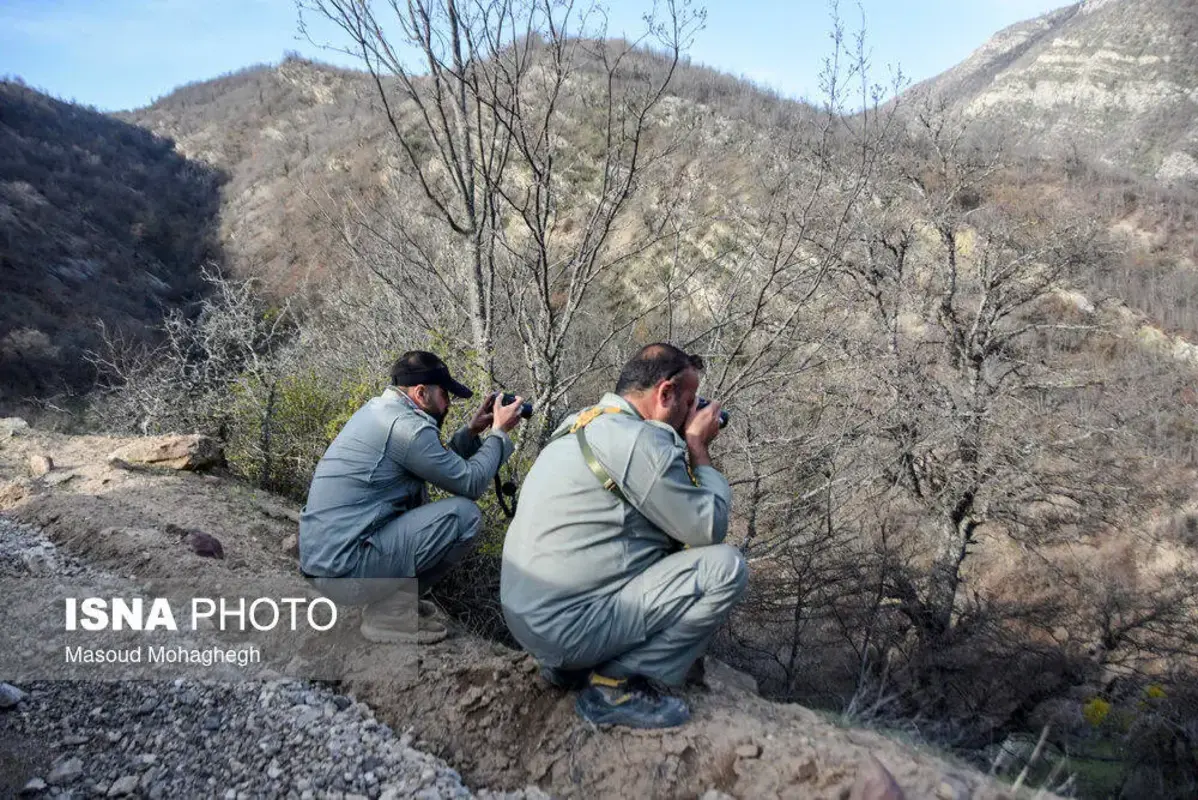 سرشماری حیات وحش جنگل‌های هیرکانی رودبارک