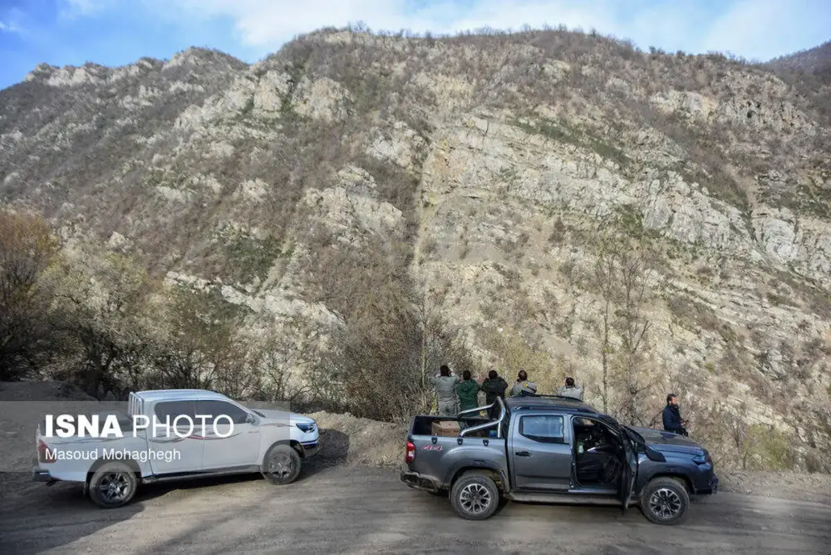 سرشماری حیات وحش جنگل‌های هیرکانی رودبارک