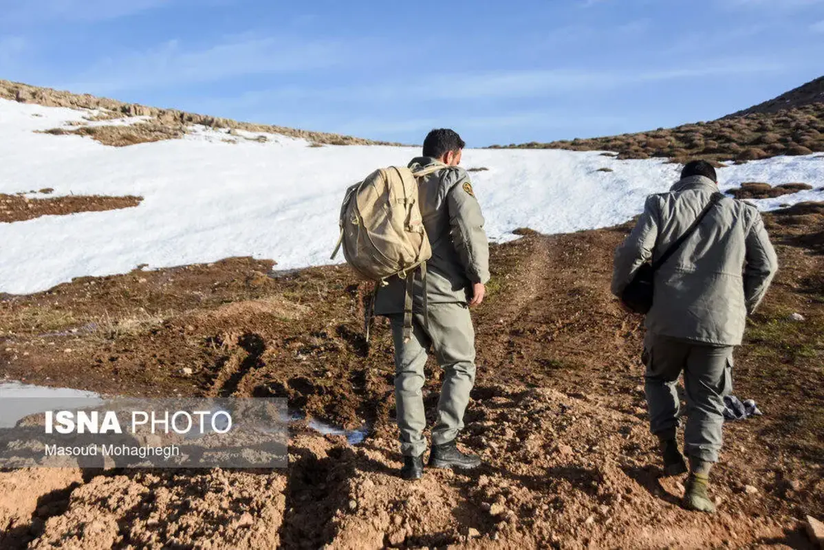سرشماری حیات وحش جنگل‌های هیرکانی رودبارک