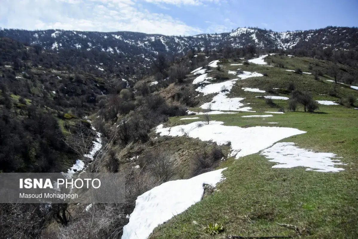 سرشماری حیات وحش جنگل‌های هیرکانی رودبارک