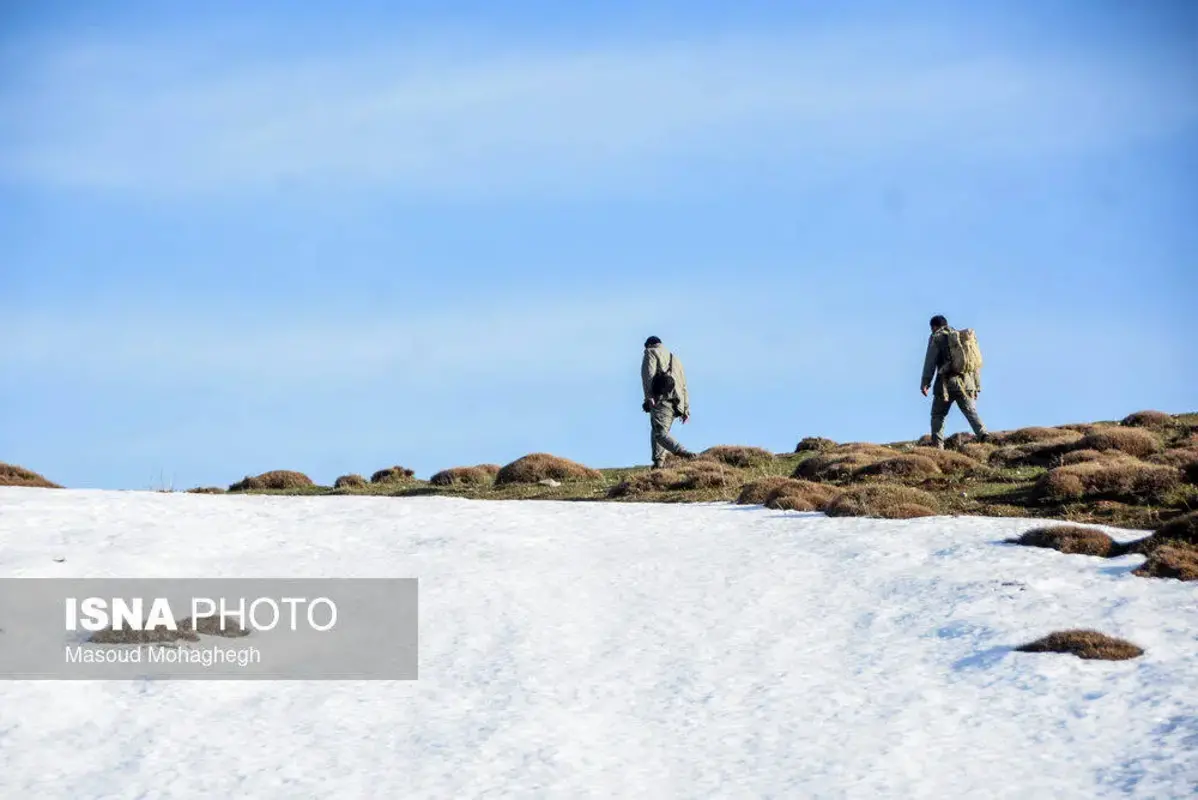 سرشماری حیات وحش جنگل‌های هیرکانی رودبارک