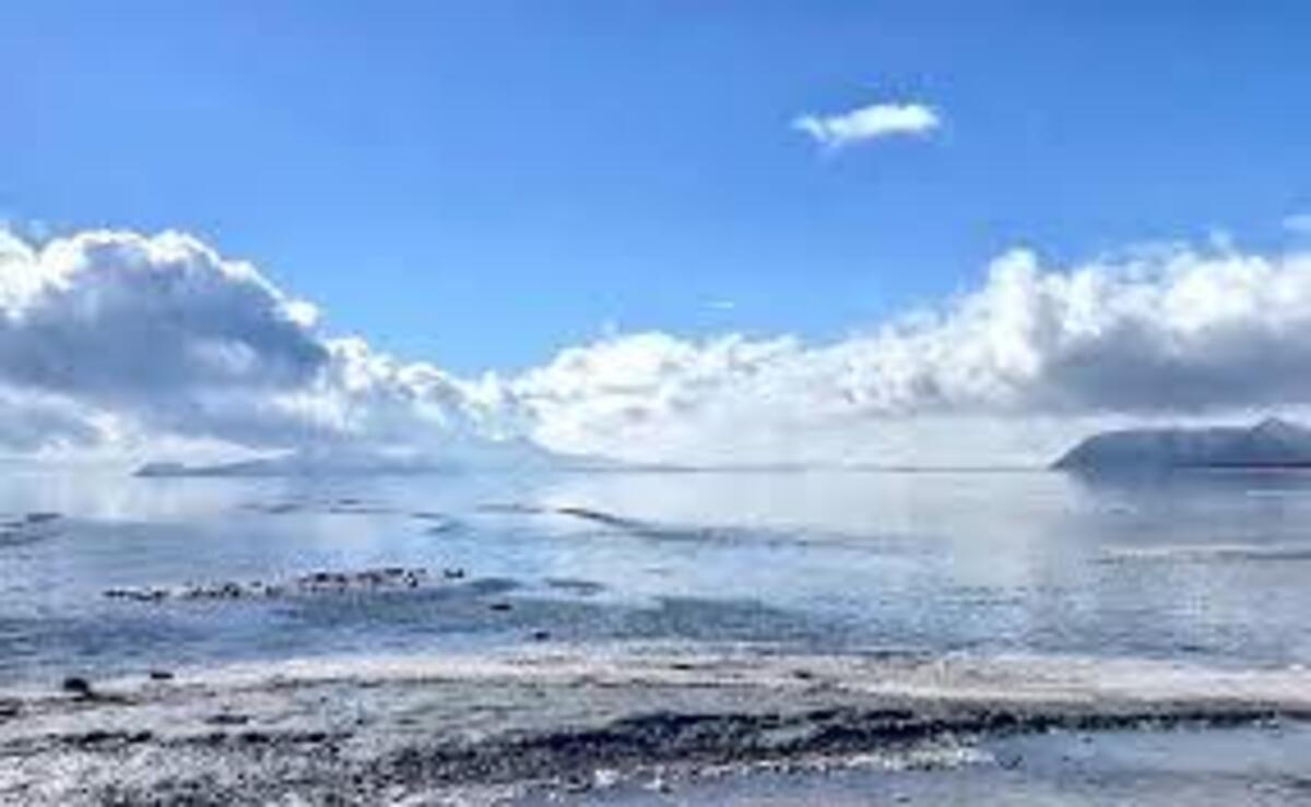 دریاچه ارومیه دوباره جان گرفت