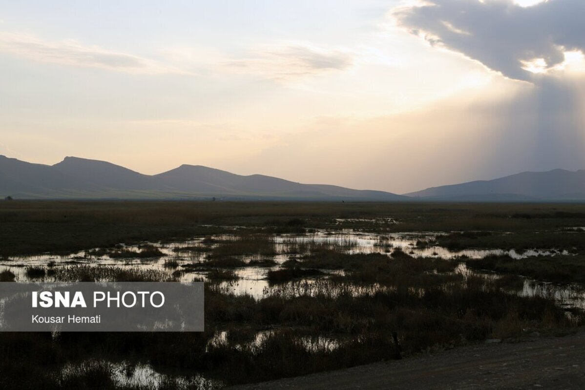 زیبایی‌های طبیعت بهاری تالاب هشیلان کرمانشاه