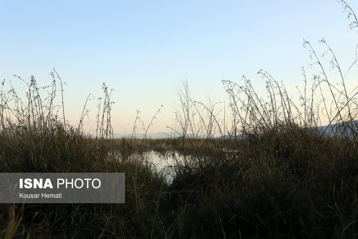 زیبایی‌های طبیعت بهاری تالاب هشیلان کرمانشاه