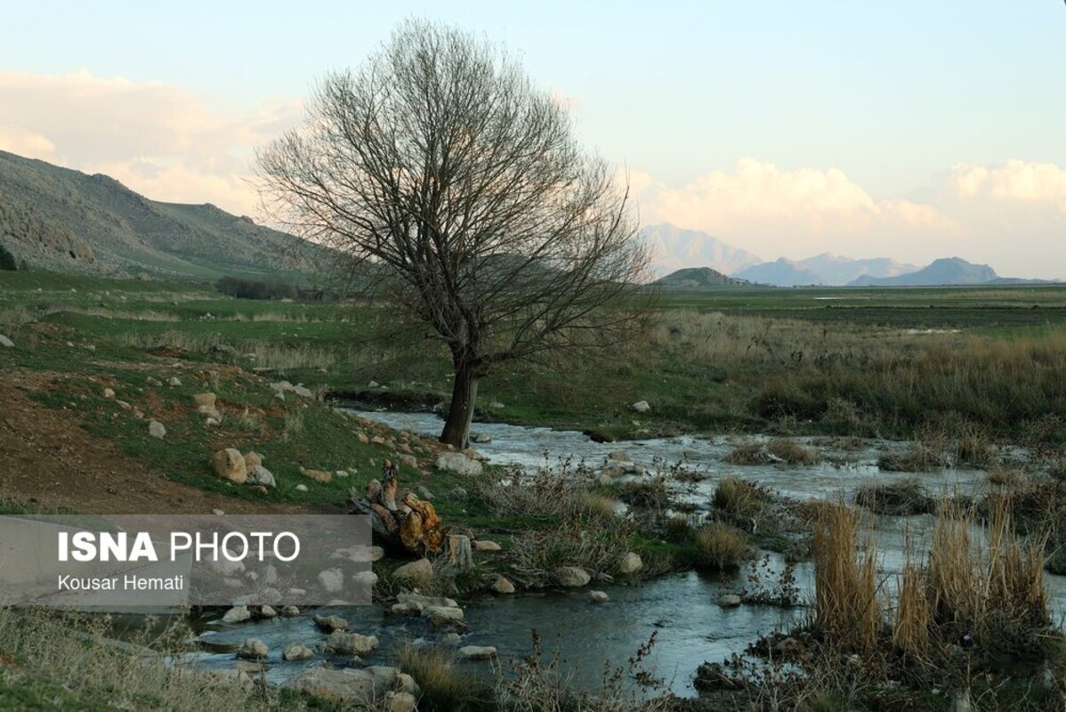 زیبایی‌های طبیعت بهاری تالاب هشیلان کرمانشاه