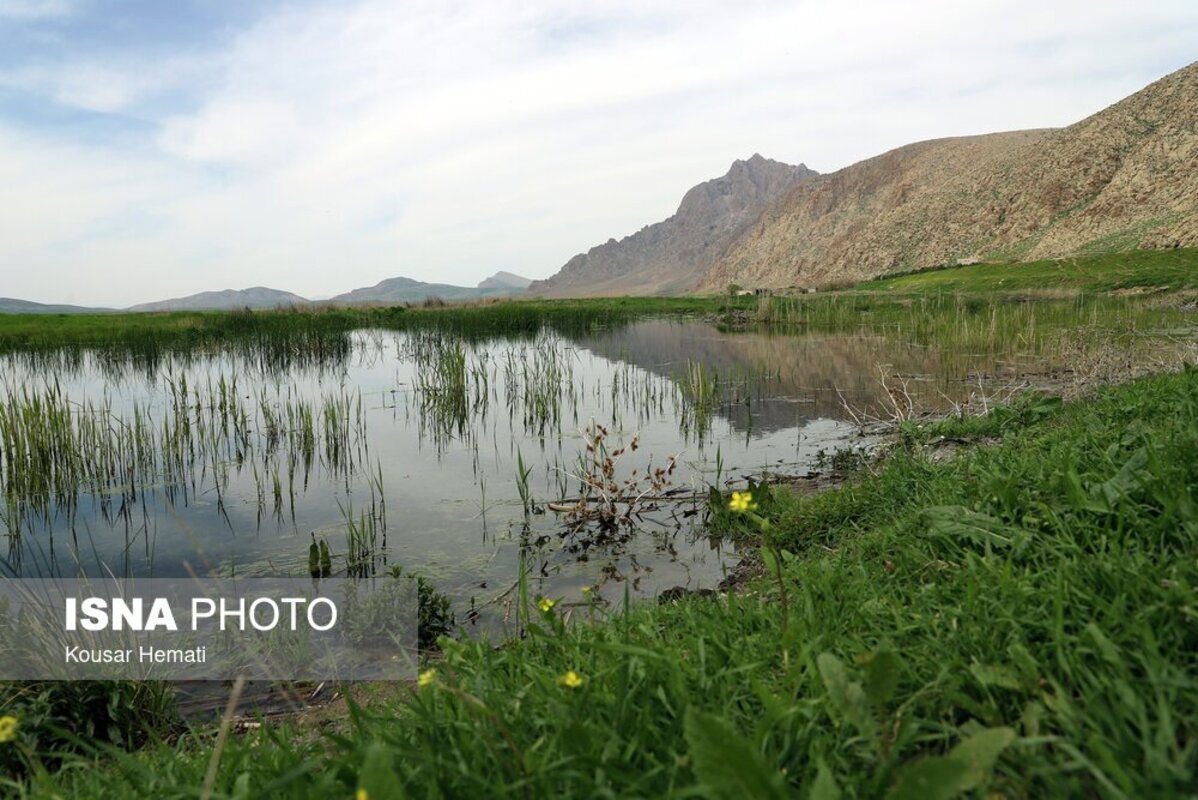 زیبایی‌های طبیعت بهاری تالاب هشیلان کرمانشاه