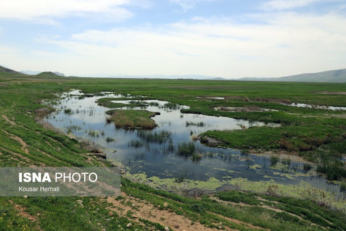 زیبایی‌های طبیعت بهاری تالاب هشیلان کرمانشاه