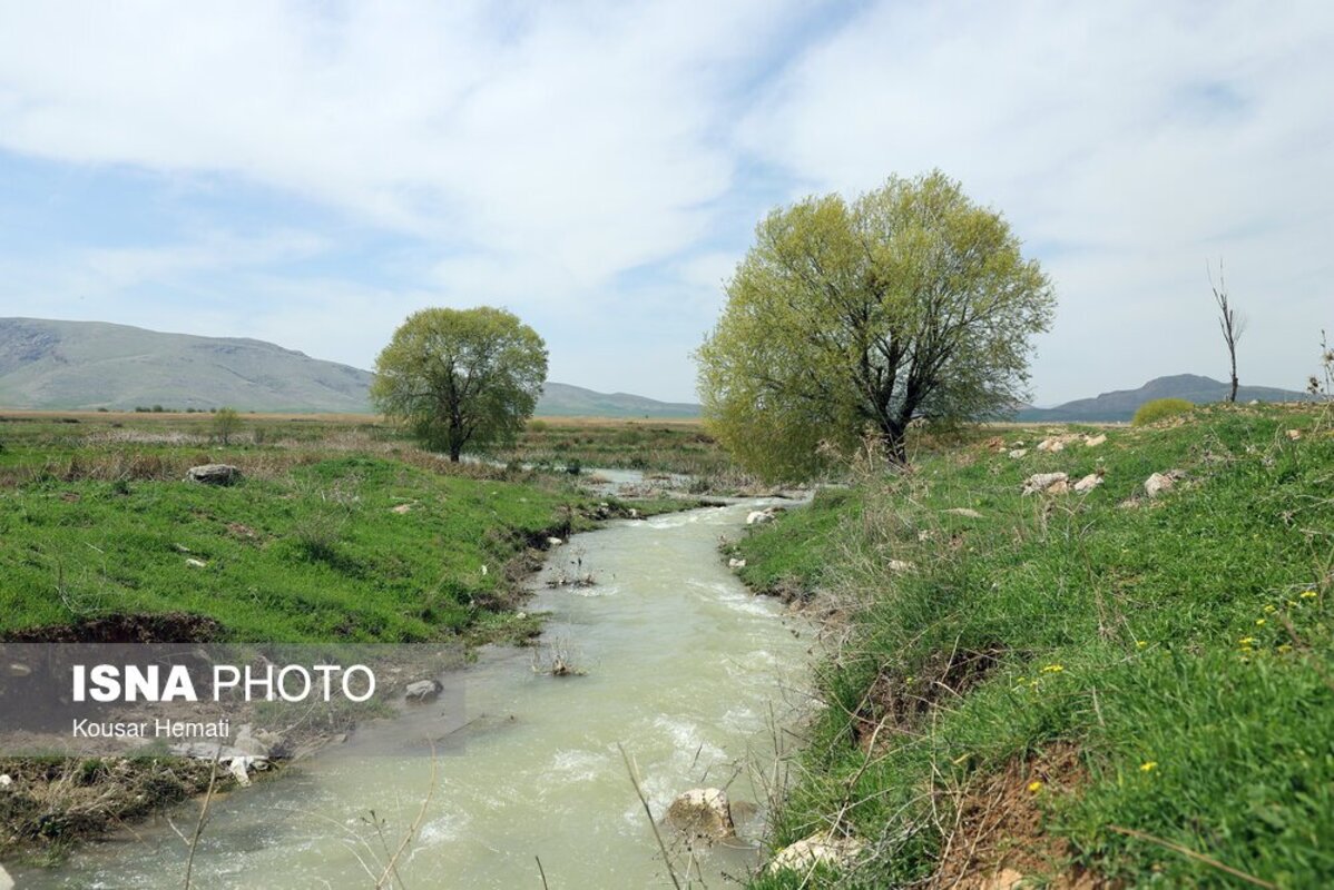 زیبایی‌های طبیعت بهاری تالاب هشیلان کرمانشاه