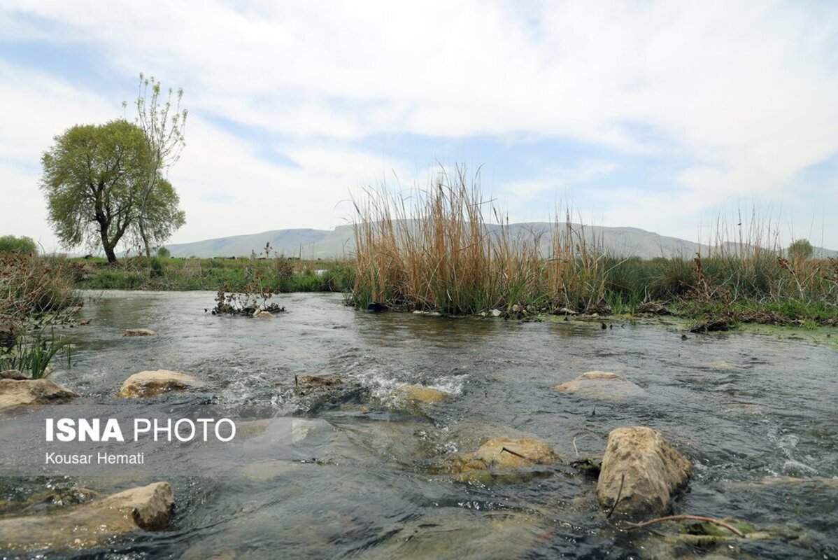 زیبایی‌های طبیعت بهاری تالاب هشیلان کرمانشاه