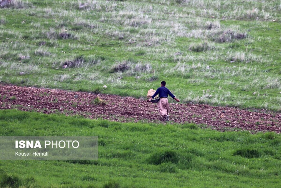 زیبایی‌های طبیعت بهاری تالاب هشیلان کرمانشاه