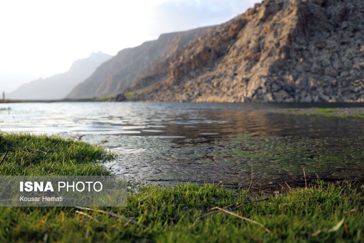 زیبایی‌های طبیعت بهاری تالاب هشیلان کرمانشاه