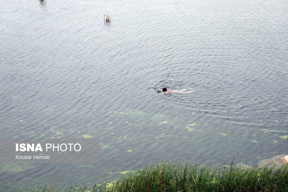 زیبایی‌های طبیعت بهاری تالاب هشیلان کرمانشاه
