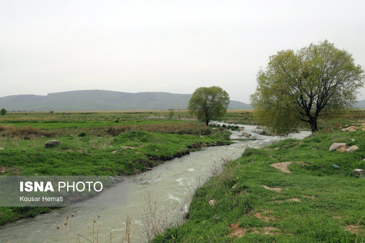 زیبایی‌های طبیعت بهاری تالاب هشیلان کرمانشاه