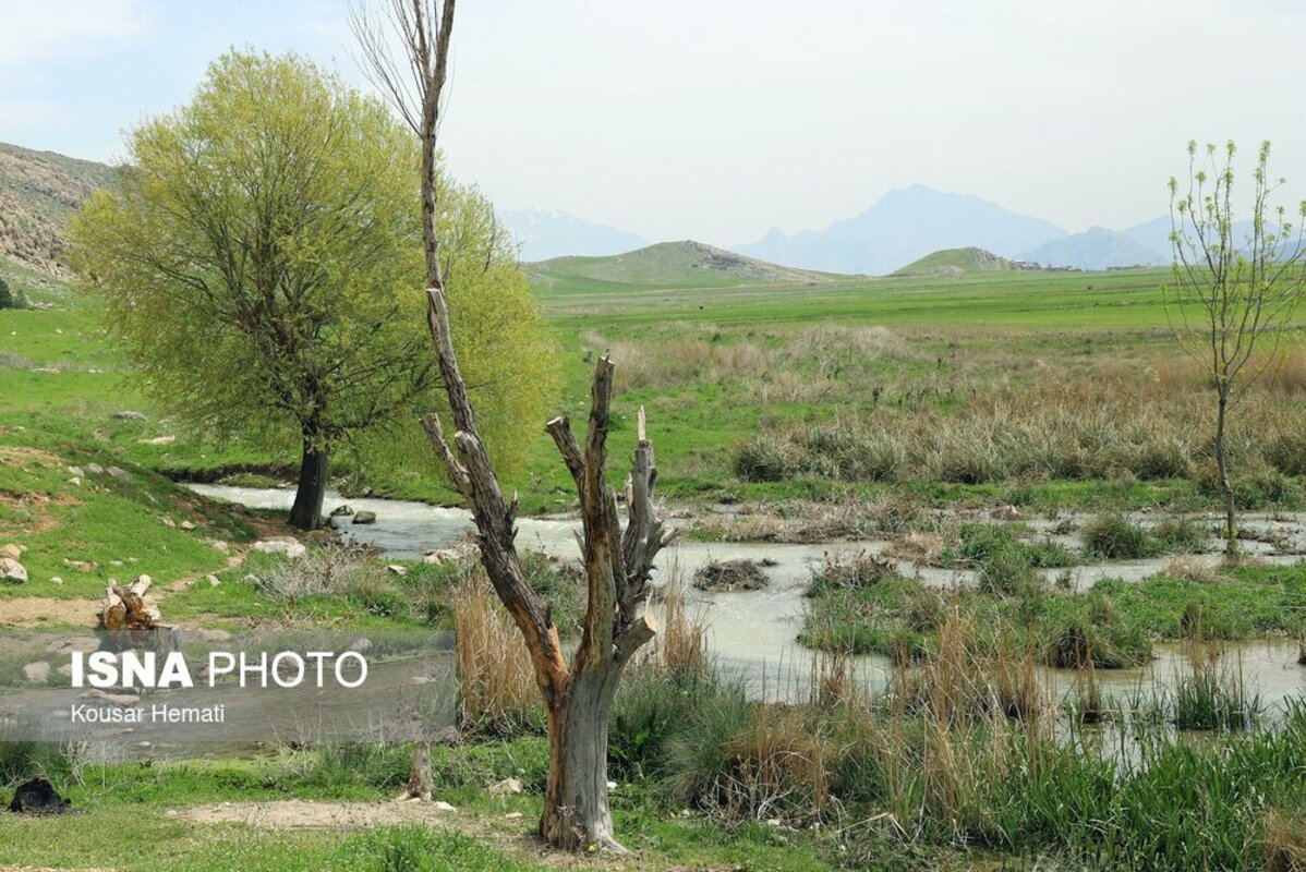 زیبایی‌های طبیعت بهاری تالاب هشیلان کرمانشاه
