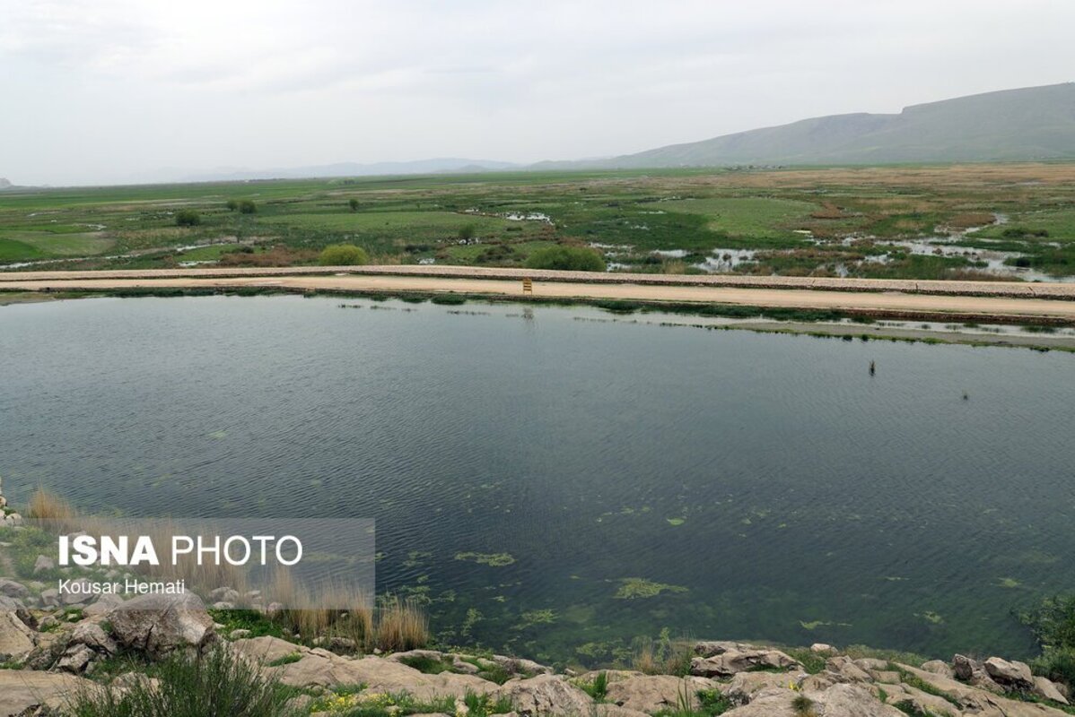 زیبایی‌های طبیعت بهاری تالاب هشیلان کرمانشاه
