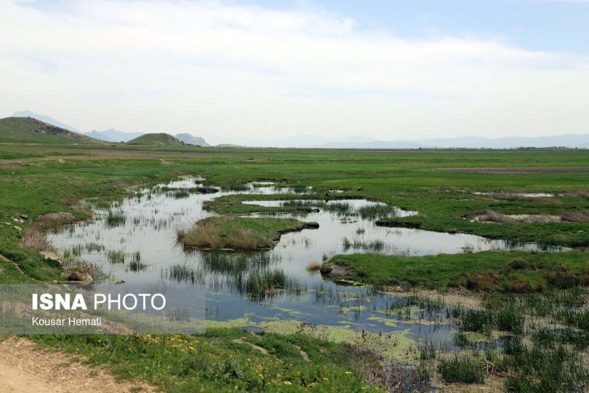 زیبایی‌های طبیعت بهاری تالاب هشیلان کرمانشاه