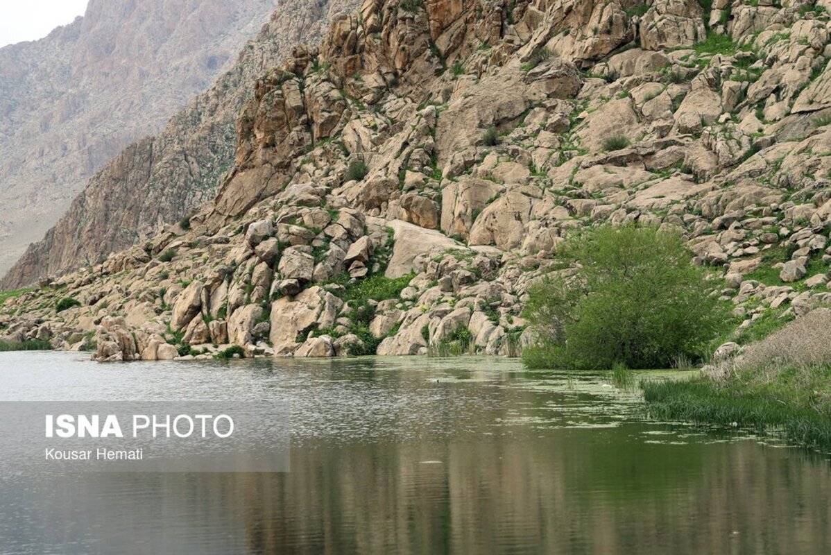 زیبایی‌های طبیعت بهاری تالاب هشیلان کرمانشاه