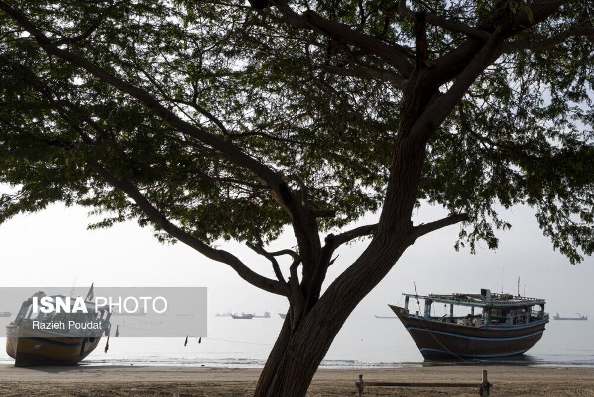 جاذبه های پارک ساحلی سورو بندرعباس